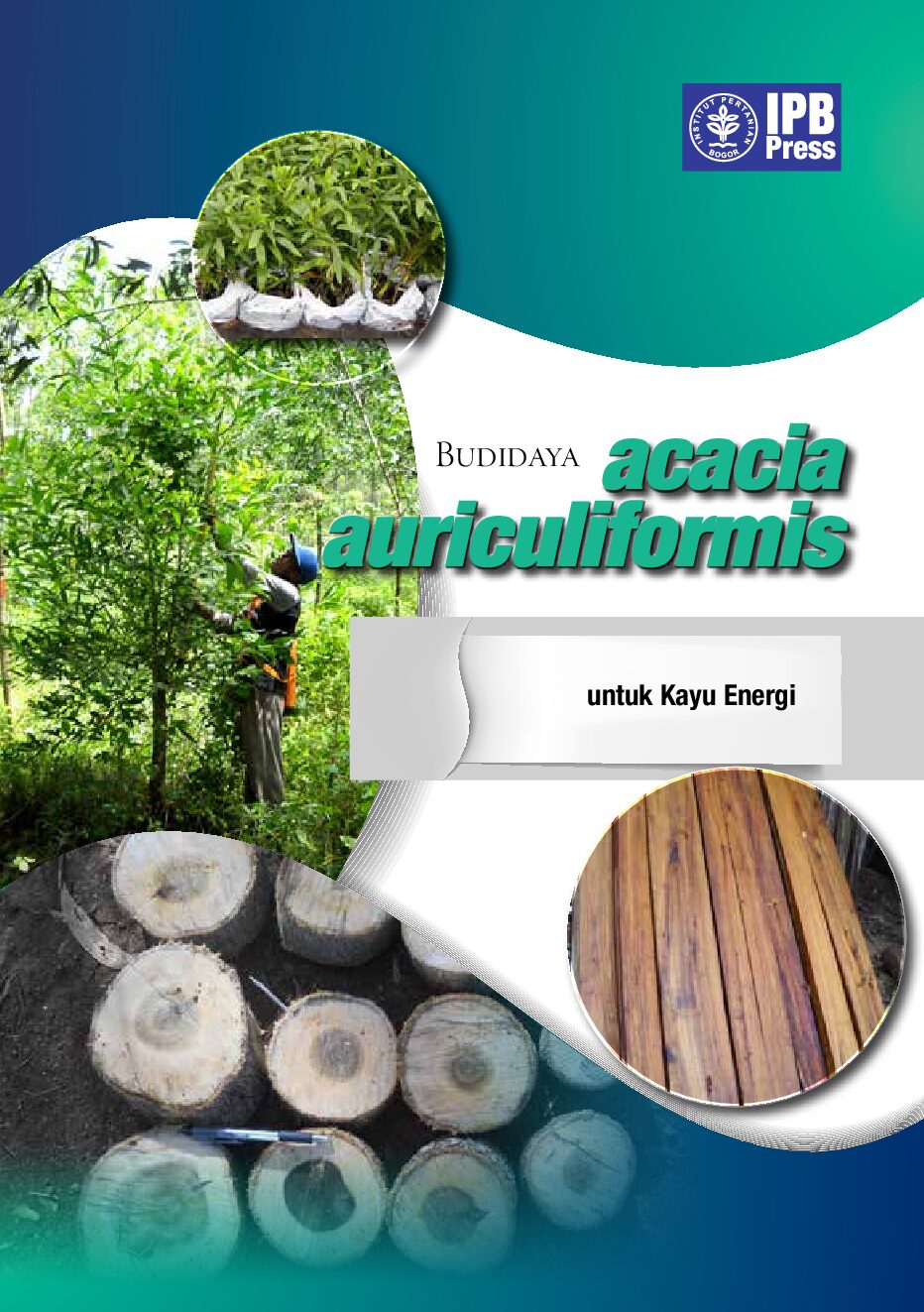Cover Budidaya ACACIA URICULIFORMIS Untuk Kayu Energi Rina Laksmi Dkk 2014
